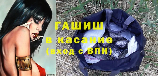 сатива Балахна