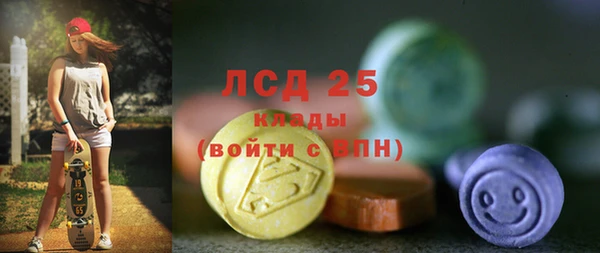 сатива Балахна