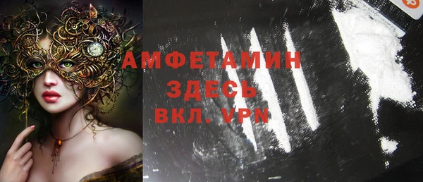 сатива Балахна