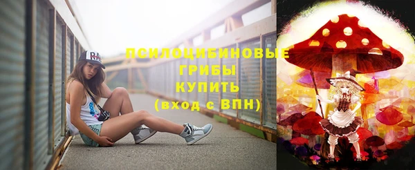 сатива Балахна