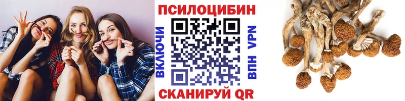 где можно купить Боровск Псилоцибиновые грибы GOLDEN TEACHER