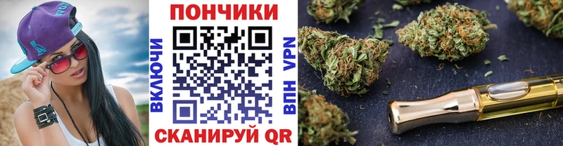Канабис планчик где найти Боровск